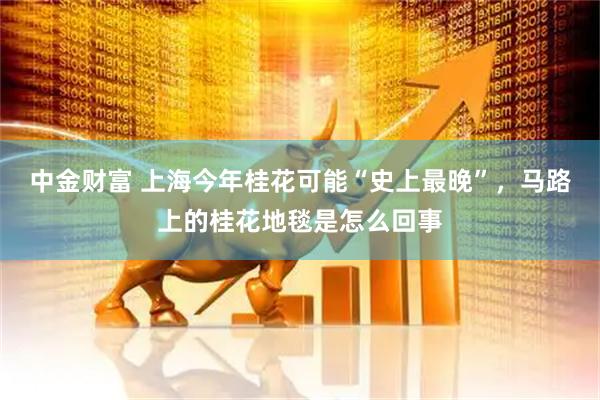 中金财富 上海今年桂花可能“史上最晚”，马路上的桂花地毯是怎么回事